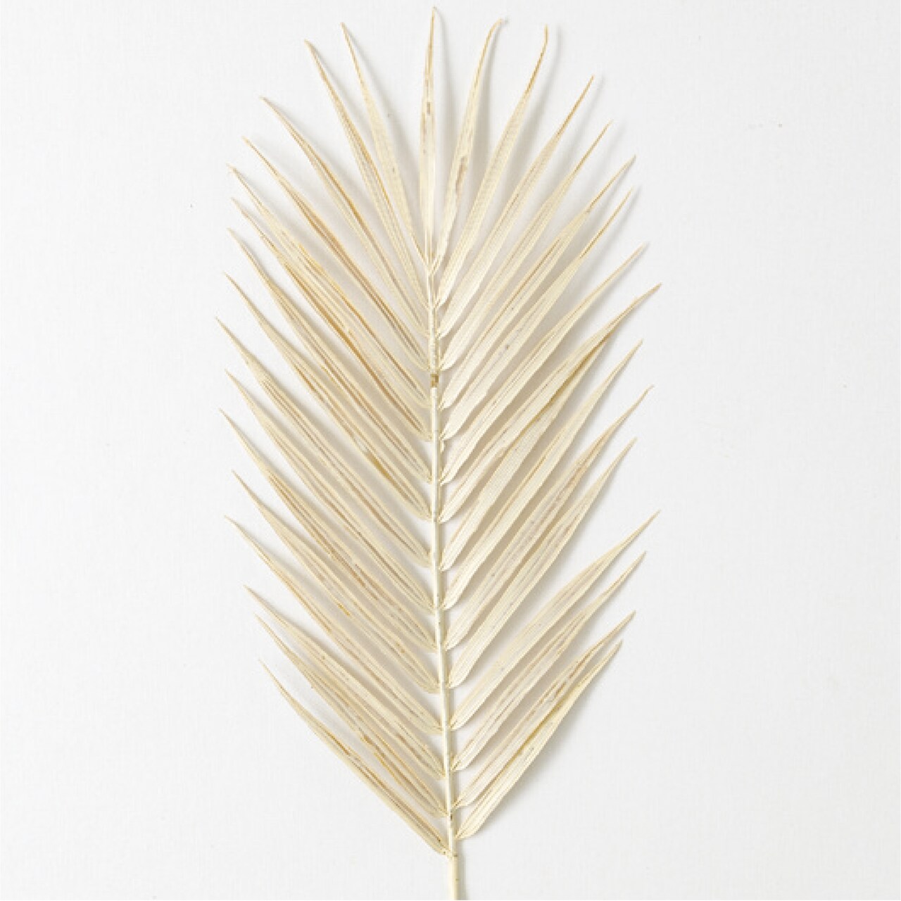 Sullivan's Fern Spray, Cream Faux Floral Stem for Crafting, Weddings, Home and Holiday Decoration, 34 Inch